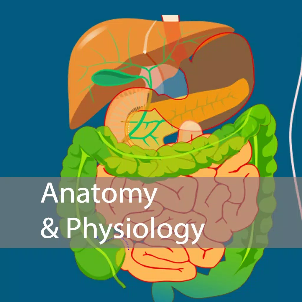 Nursing Anatomy and Physiology Nursing Anatomy and Physiology