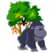 Cute Animals HD