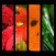 Nature HD Wallpaper