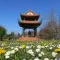 Mindfulness songs