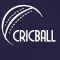Live Cricket - Cricball