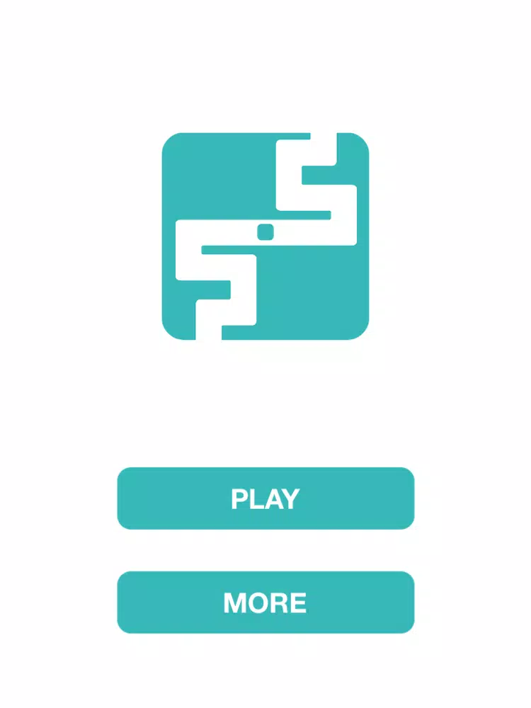 The White Line - Stay in the line and Don't Touch The Wall Game iPad Screenshots