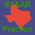 TX STAAR Alg I Practice Tests