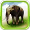 REAL ANIMALS HD