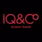 IQ & Co Introductions