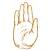 Palmistry As Is