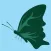 Butterfly Surge