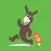 Donkey Fun Partner