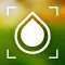 EZ Blur Focus Photo Effects