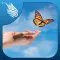 FREE ME/CFS Meditations for Chronic Fatigue M.E &