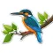 Birds Life Stickers Pack