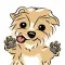 Archie the Yorkie