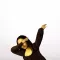 Mona Lisa Emoji