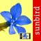 Alpenblumen Id Automatik