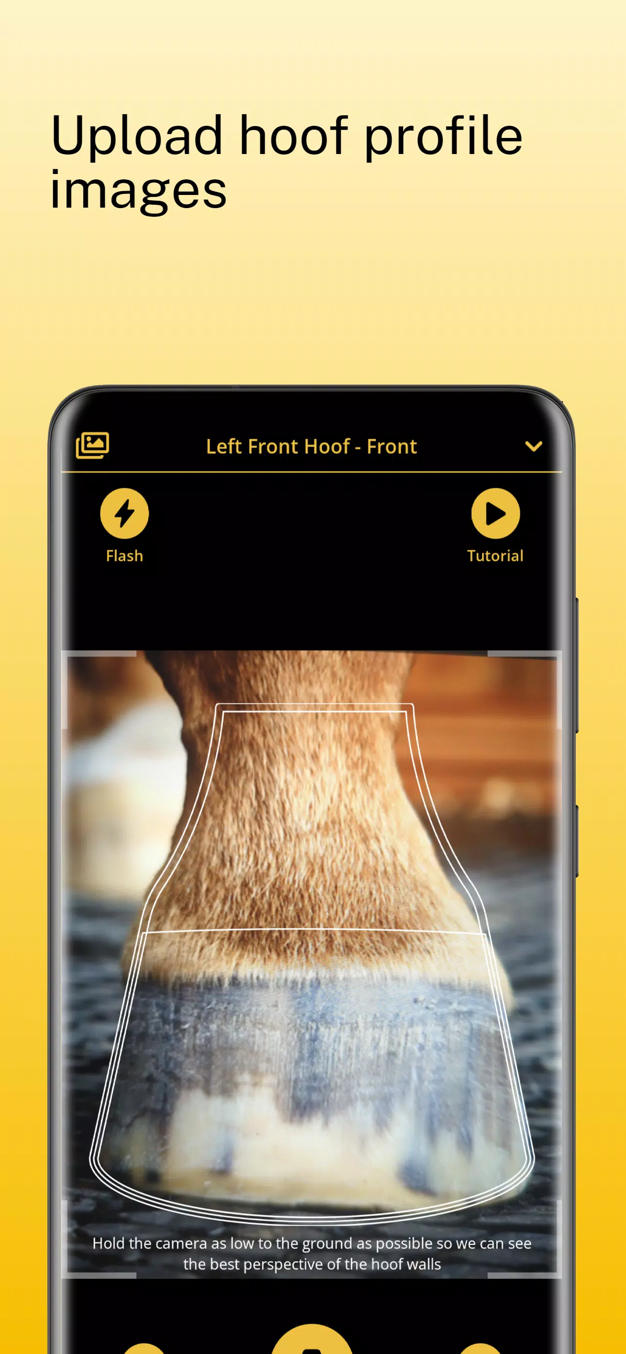 Scoot Boots - Hoof Sizer स्क्रीनशॉट