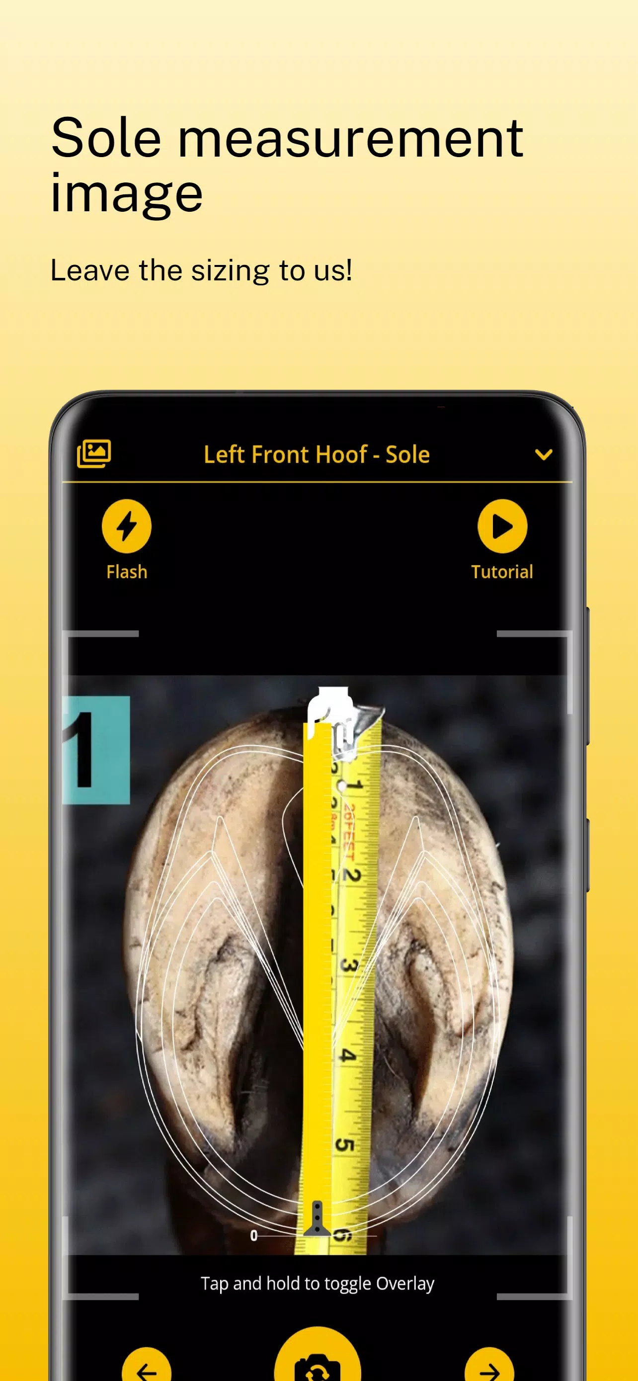 Scoot Boots - Hoof Sizer स्क्रीनशॉट