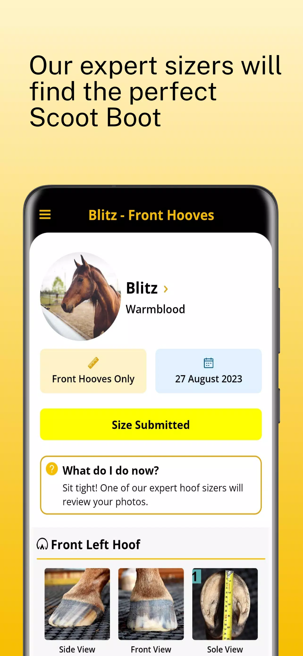 Scoot Boots - Hoof Sizer स्क्रीनशॉट