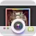 Layout Lite for Instagram & More