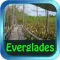 Everglades National Park - USA