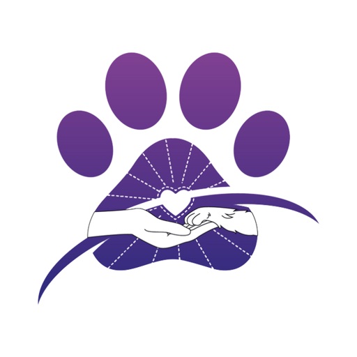 Pawsitive Vibes Pet Resort Pawsitive Vibes Pet Resort