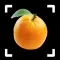 Fruit Identifier - By Photo