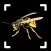 Insect Identifier: Bug ID