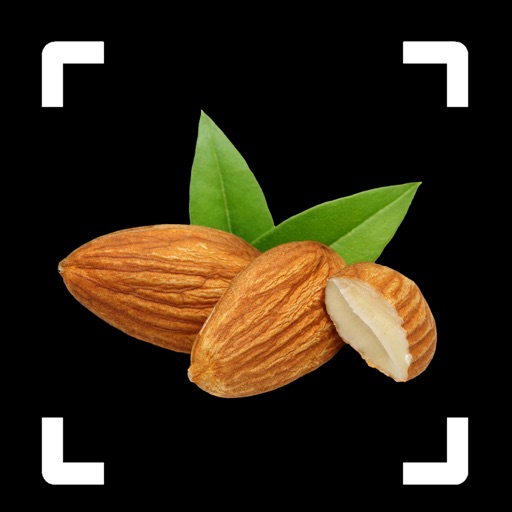 Nut Identifier: Seed ID Nut Identifier: Seed ID