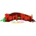 Grill Peri Peri Coventry