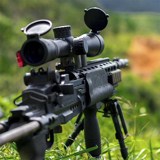 Rifle ringtone