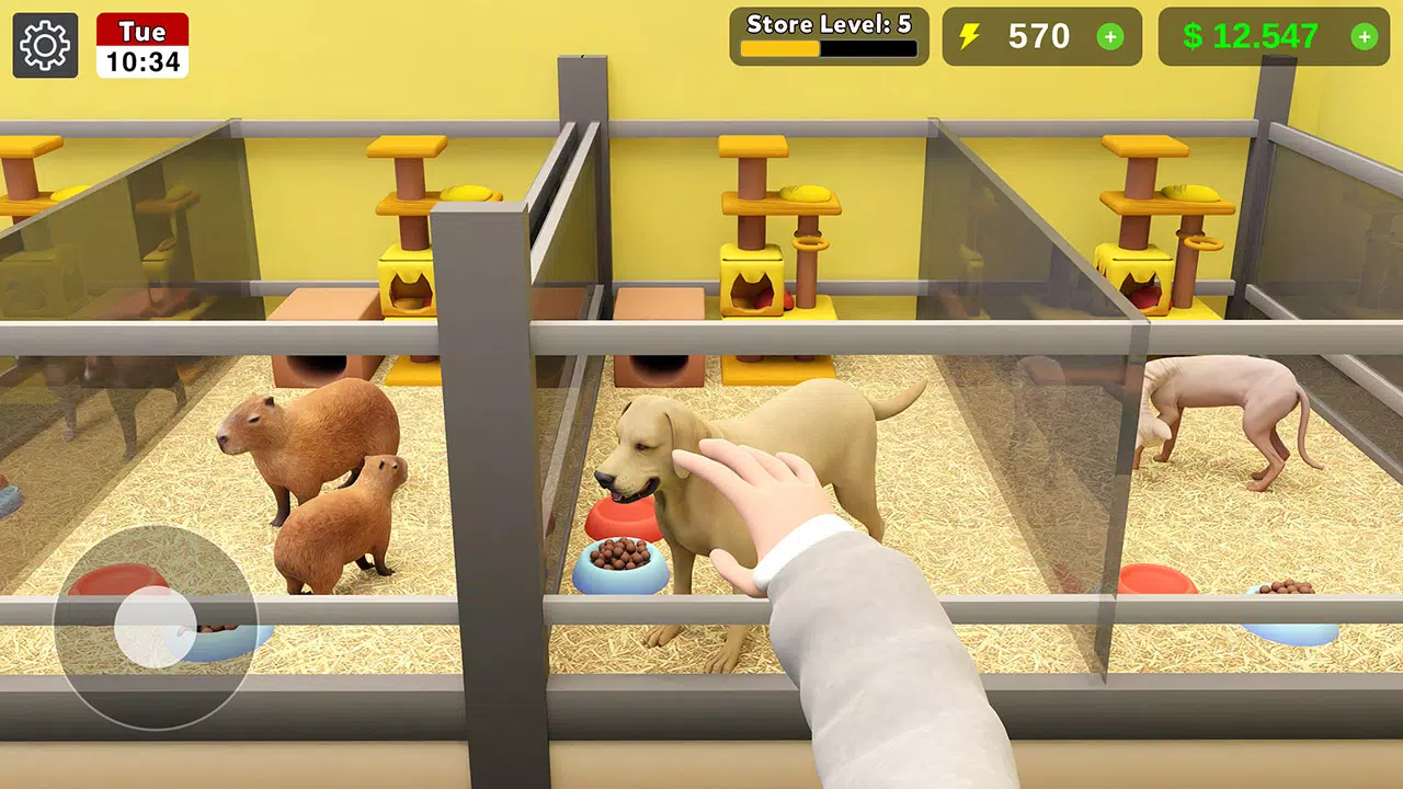 Pet Shop Manager Simulation Screenshots