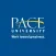Pace University ELI