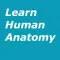 Learn Human Anatomy