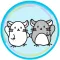 Chinchilla Minny New Normal