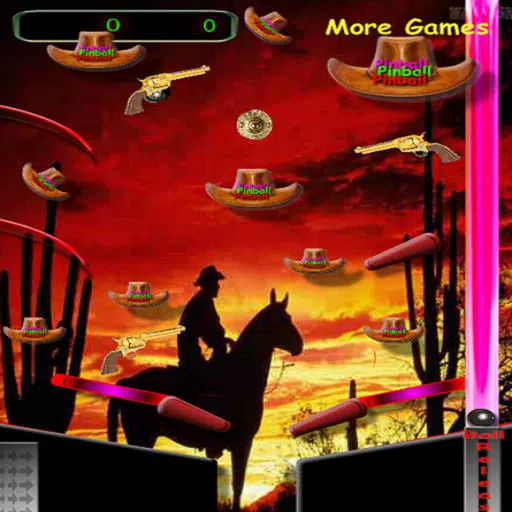 3D Black Jack Cowboy Pinball 3D Black Jack Cowboy Pinball