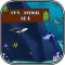 Fun Animal Sea