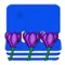 Crocus Contact