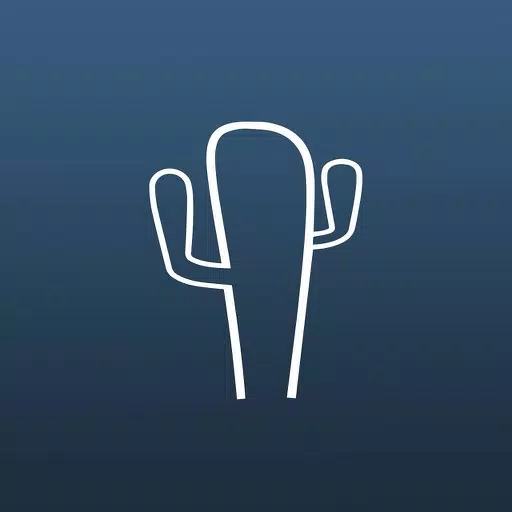 Cactus - Digital Detox Cactus - Digital Detox