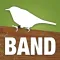 Band Codes
