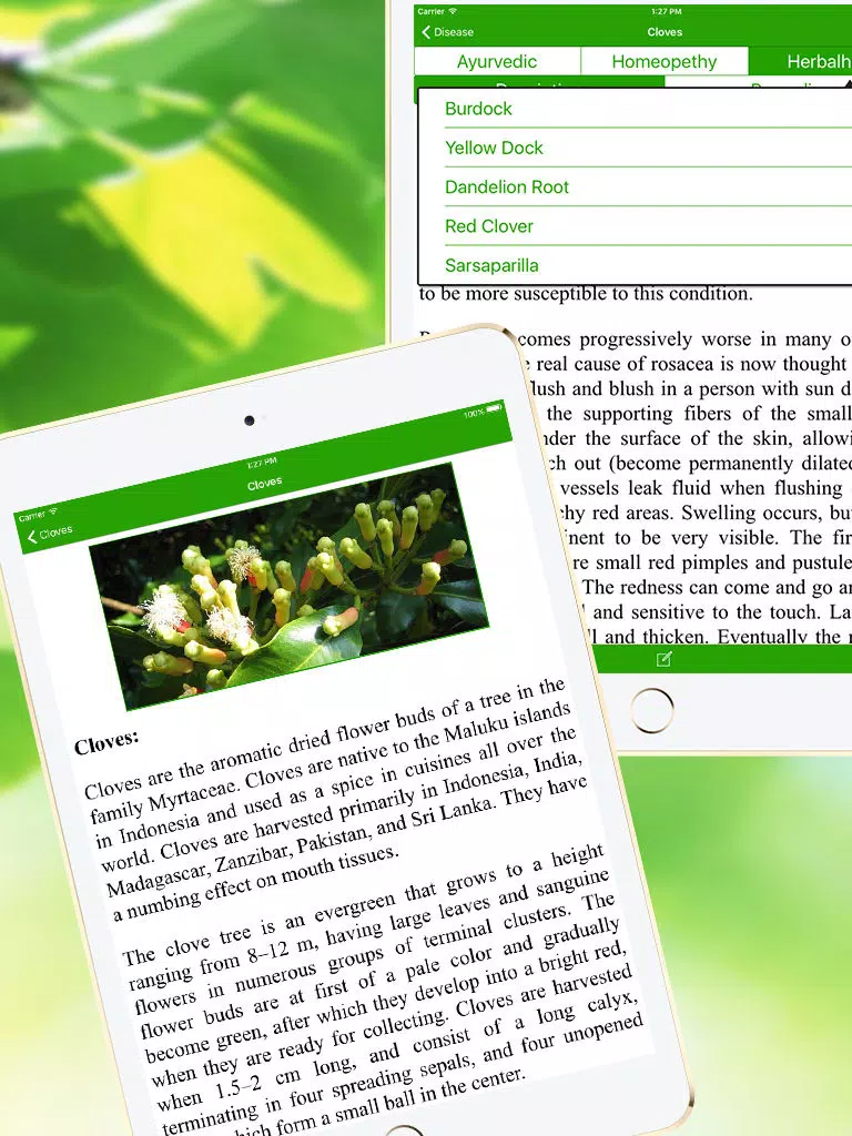 Ref Guide for Ayurvedic Herb Instant Home Remedies iPad Screenshots