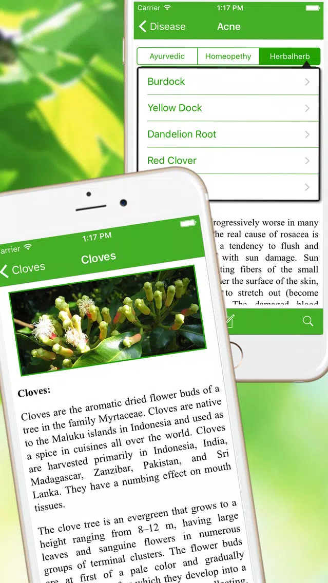Ref Guide for Ayurvedic Herb Instant Home Remedies Screenshots