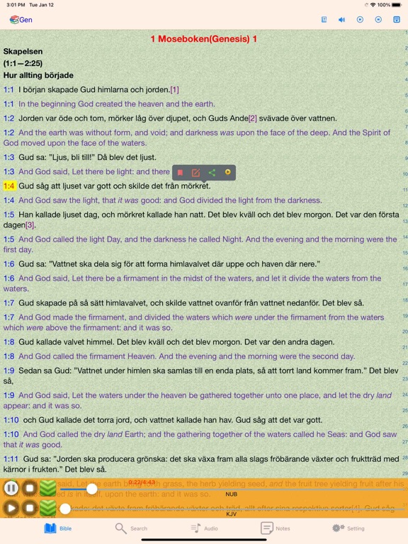 Swedish Finnish English Bible iPad Screenshots