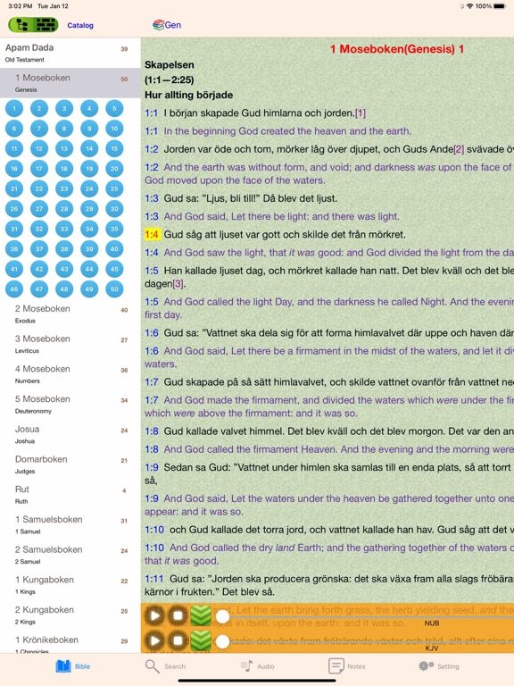 Swedish Finnish English Bible iPad Screenshots