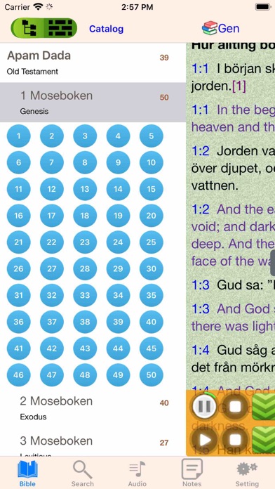 Swedish Finnish English Bible Screenshots