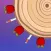 Knife Target : Fruit Hit