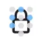 PinPass - Passwords Made Easy