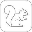 Squirrel Passive Learning