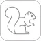 Squirrel Passive Learning