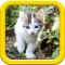 Cats puzzle - fun for kids