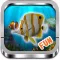 Fun Ocean