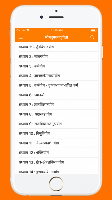 Bhagavad Gita in Hindi App Screenshots